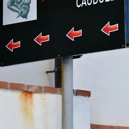 Caudullo 2* يتوجاني